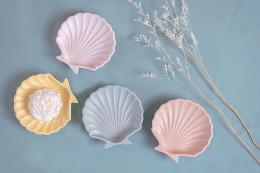 Sea Shell Trinket